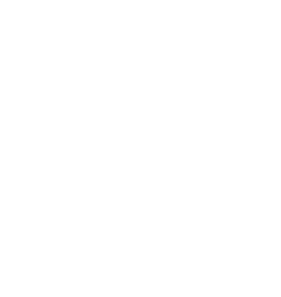 StrideMatch